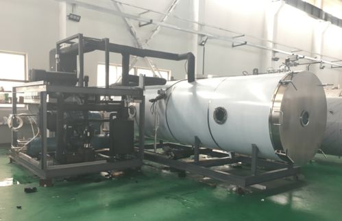 寵物食品凍干機在三文魚凍干加工中的應(yīng)用與礦物加工的影響